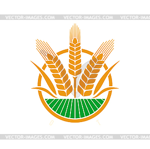 Cereal ear and spike icon of wheat, rye, barley - vector image