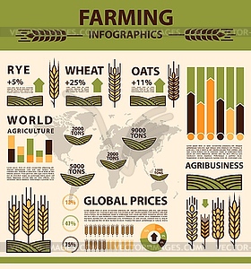 Grain growing agriculture infographics, farm wheat - vector image