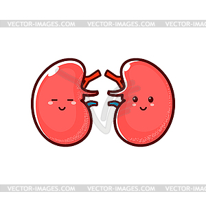 Happy smiling healthy kidneys, cartoon character - vector clipart