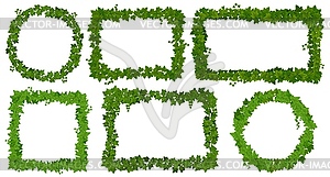 Ivy frames, green leaves on lianas, jungle vines - vector clipart