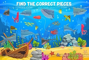 Find correct pieces of sea animal, ocean landscape - color vector clipart