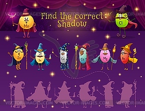 Find correct shadow game, micronutrient wizards - vector image