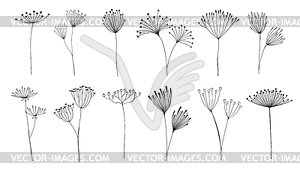 Набросайте цветочные веточки и отростки, зонтичные цветы - изображение в формате EPS