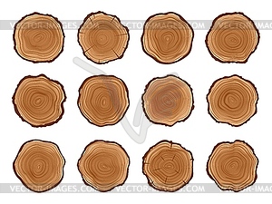 Tree trunks, wood cut stumps with annual circles - vector clipart