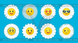 Camomile smile, daisy flowers with cartoon face - vector image