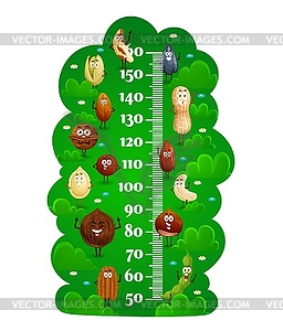 Cartoon happy nuts characters kids height chart - vector clipart