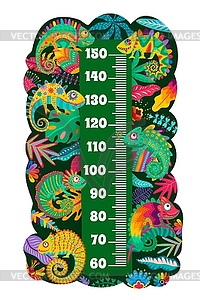 Mexican chameleon lizards on kids height chart - vector image