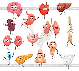 Cartoon human body internal organs characters - vector image