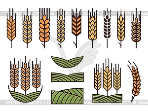 Cereal ear spike icons, wheat barley or rye millet - vector image