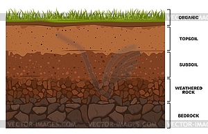 Инфографика почвенного слоя, текстура недр земли - векторный клипарт Royalty-Free