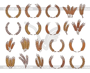 Laurel wreath, cereal wheat ears and rye spikes - vector image