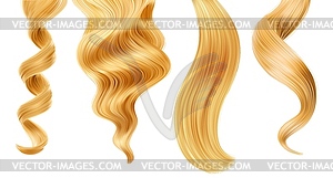 Shiny blond woman hair strand, curl or ponytail - vector image