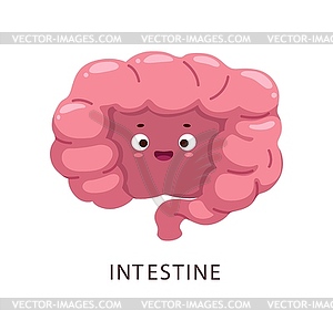 Cartoon intestine human body organ character - vector image