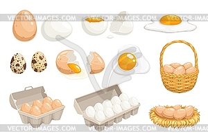 Cartoon eggs in basket, tray box, nest, quail eggs - vector clipart