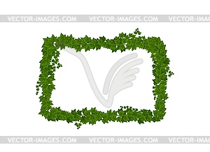 Ivy green leaves and lianas frame, plant border - royalty-free vector image