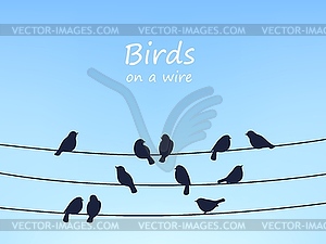 Sparrow birds flock on power line and wires - vector image