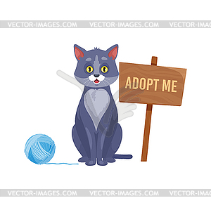 Funny cat with adopt me signboard searching family - vector image