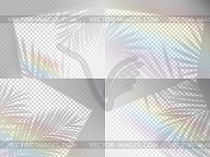 Transparent palm leaves shadow and rainbow overlay - royalty-free vector clipart