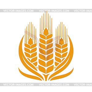 Cereal wheat, rye and barley circle graphic icon - vector image