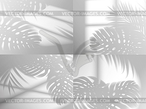 Window shadow light with monstera leaves - vector clipart