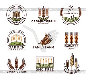 Значки злаков, колос пшеницы, ячмень, ржаное просо - векторный клипарт Royalty-Free