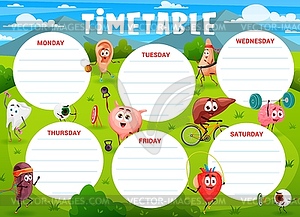 Education timetable cartoon human organs sportsman - vector clipart