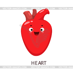 Мультяшный персонаж органа человеческого тела с красным сердцем - векторный клипарт