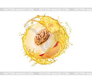 Персиковый фрукт с брызгами сока, половинка ломтика - векторный клипарт