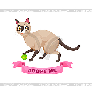 Adopt cat, funny Siamese kitten play with ball - vector clip art
