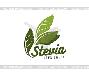 Stevia leaves natural sweetener green simple icon - vector image