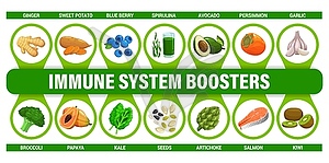 Инфографическая диаграмма пищевых усилителей иммунной системы - векторное изображение