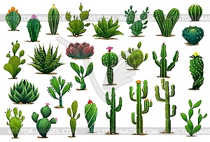 Мультяшные колючие суккулентные кактусовые растения, цветы - клипарт в векторе / векторное изображение