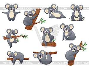 Cartoon koala bear, australian animal character - vector image