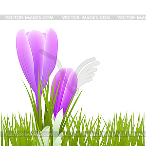 Spring little flowers and grass - vector clip art