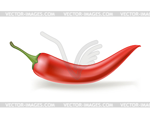 Red hot chili pepper - vector image