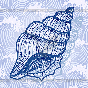 Sea shell - vector image