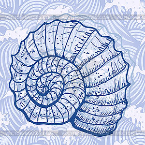 Sea shell - royalty-free vector clipart