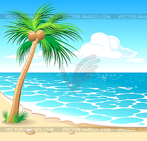 Tropical beach - vector image