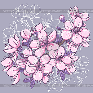 Cherry blossom - vector clip art