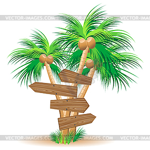 Wooden signboards on palm trees - vector clip art