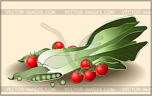 Tomato, spinach, green peas. Set of greens and vege - vector image