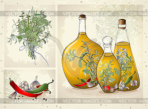 Spices, spicy herbs, olive oil - vector image