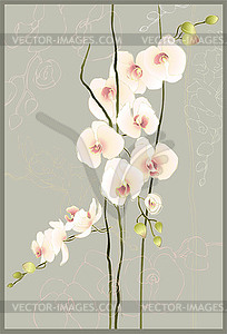 Greeting card with orchid. orhid - vector image