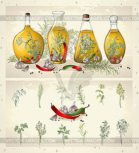 Spices, spicy herbs, olive oil - vector image