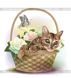 Tabby cat sitting in basket with roses - vector image