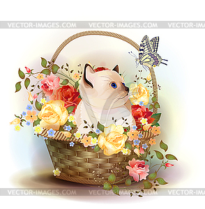 Siamese kitten sitting in basket with ros - vector clip art