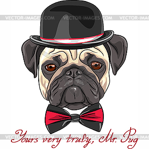 Sketch hipster dog pug breed - color vector clipart