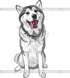 Dog sled Siberian Husky breed sitting and smiling - vector EPS clipart