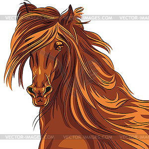 Portrait of red horse - vector clipart