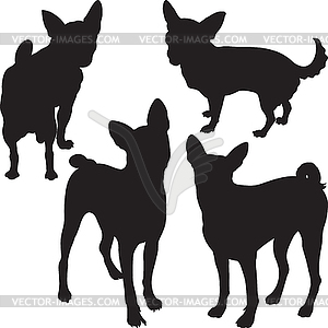 Silhouettes of dogs in rack - vector image